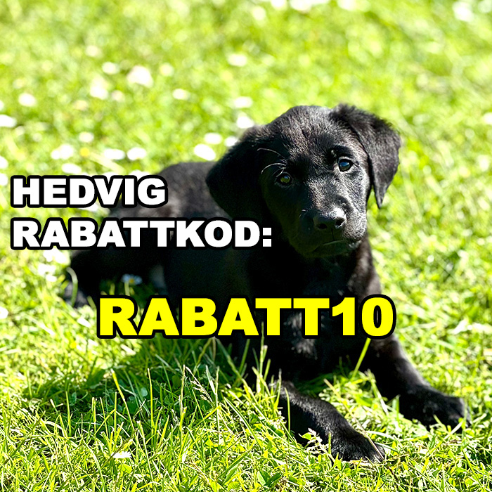 Hedvig rabattkod